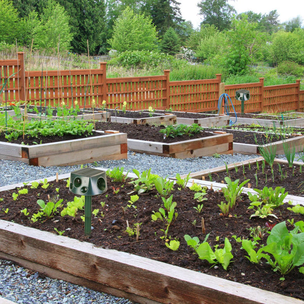 Solar & Type-C Rechargeable Animal Repeller - 3 Modes Ultrasonic+Buzzer+Vibration, IP66 Waterproof, 2200mAh Battery, Repels Moles Bats Squirrels Birds For Yard Garden Farm