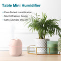 Portable Mini Humidifier 220ml Small Cool Mist Humidifier USB Personal Desktop Humidifier For Bedroom Travel Office Home