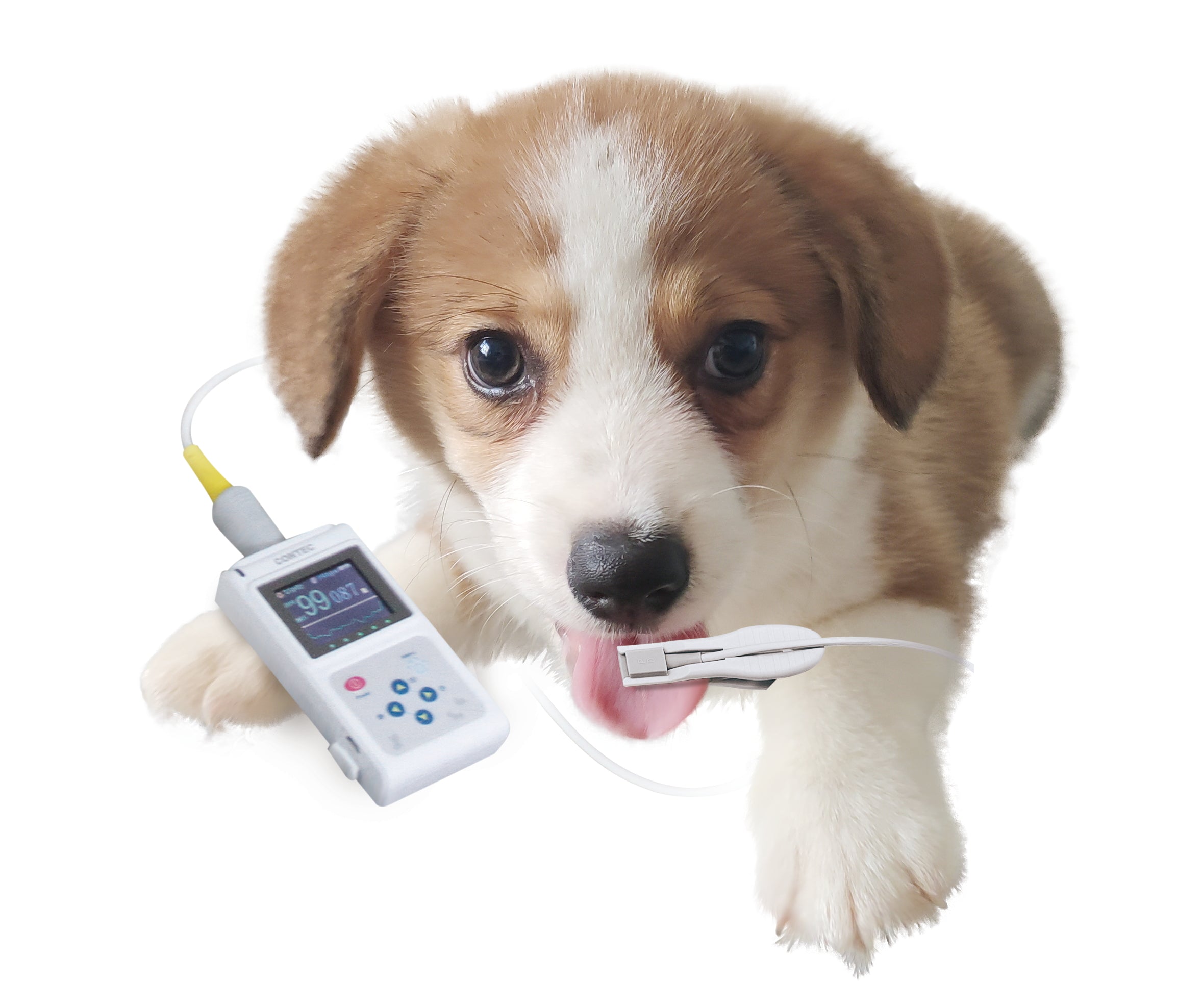 Contec Veterinary Color Display CMS60D-VET Pulse Oximeter Spo2 Probe PR Monitor